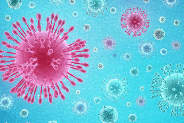 Coronavirus Fact Sheets